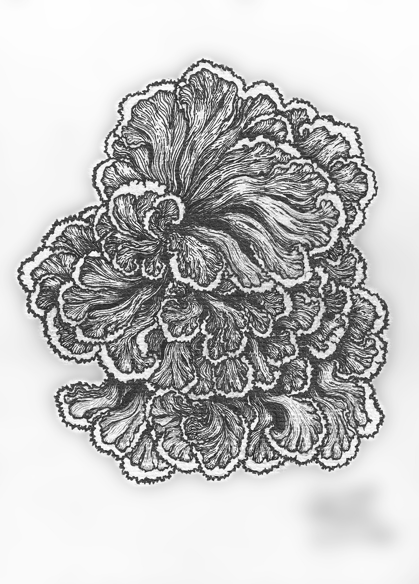 Forest Bloom – Mushroom Line Art Print | Nature-Inspired Fungi Illustration