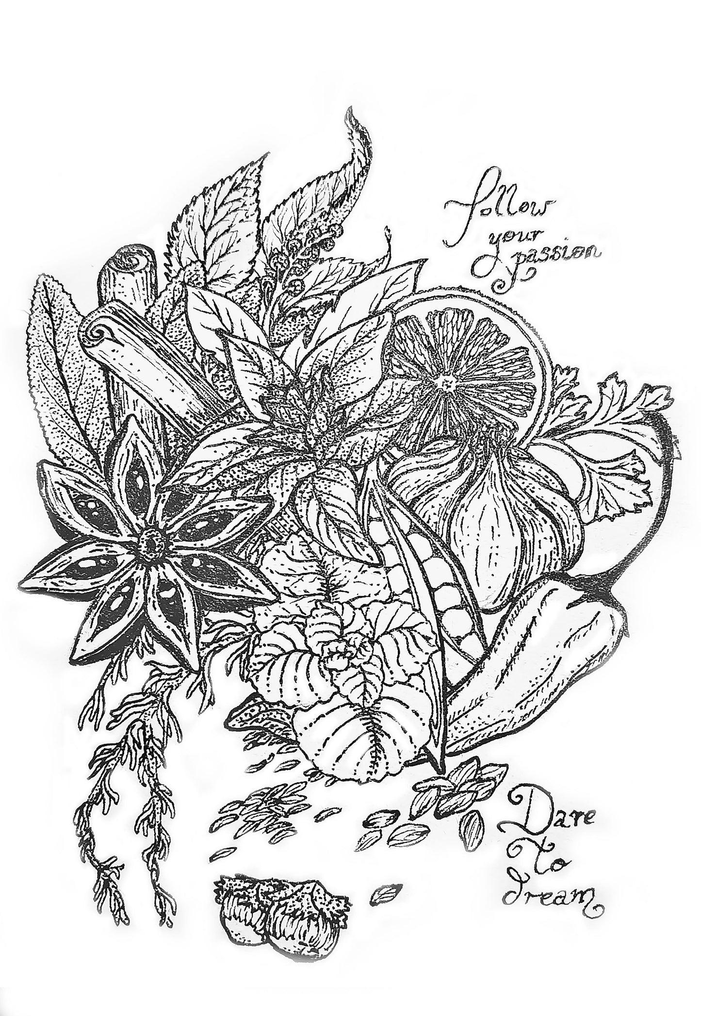 Spice of Life – Botanical Line Art Print | Hand-Drawn Herbal & Nature Illustration